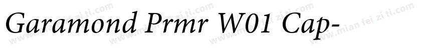 Garamond Prmr W01 Cap字体转换